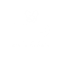 HIP Kinesiologia